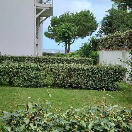 Acces Direct A La Avec Terrasse Jardin * Arcachon