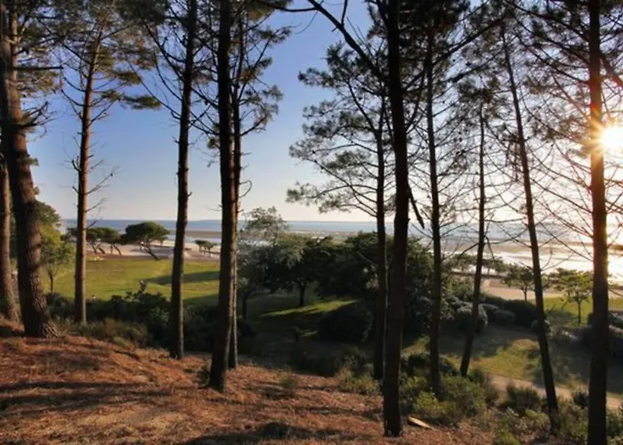 Apartament Acces Direct A La Avec Terrasse Jardin Arcachon