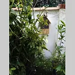 Proche Pied Dans L'eau Avec Terrasse Jardin Vue Sur Le Bassin Depuis La Terrasse Appartement *