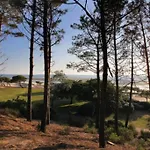 Appartement Proche Pied Dans L'eau Avec Terrasse Jardin Vue Sur Le Bassin Depuis La Terrasse Arcachon
