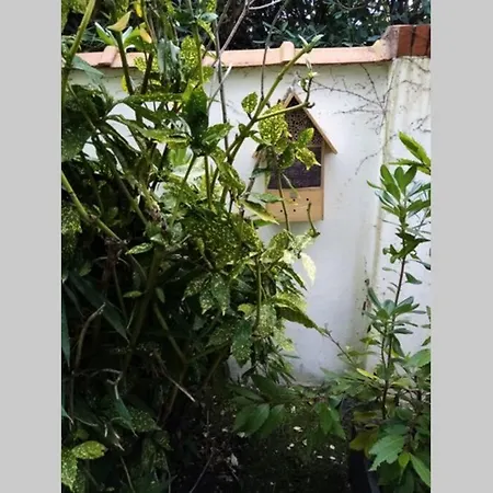 Résidence Accès Direct à La Avec Terrasse Jardin Appartamento *