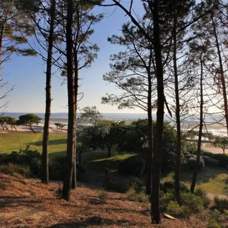 Appartamento Résidence Accès Direct à La Avec Terrasse Jardin Arcachon