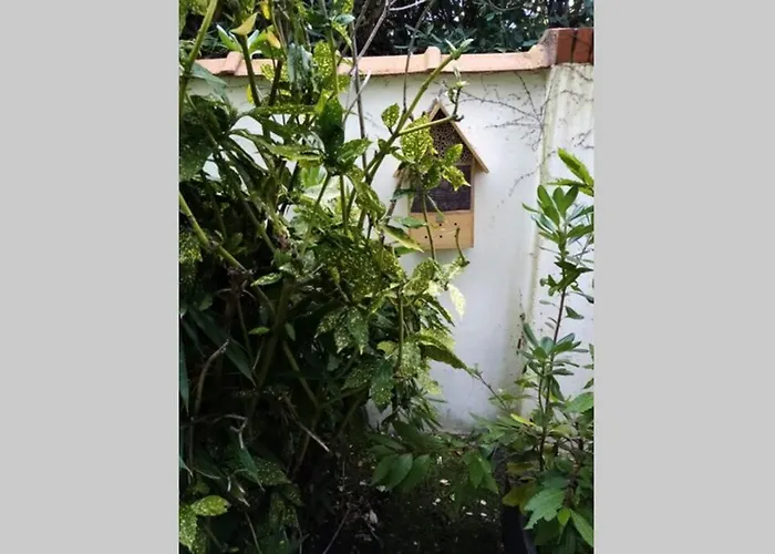 Acces Direct A La Avec Terrasse Jardin Lejlighed *